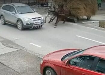 Accident grav! Căruțaș aruncat pe asfalt după ce a intrat fără să se asigure pe drumul principal!