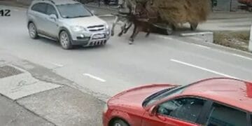 Accident grav! Căruțaș aruncat pe asfalt după ce a intrat fără să se asigure pe drumul principal!