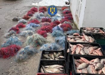 VIDEO. Razie anti-braconaj! Aproape 400 de kilograme de pește și zeci de plase monofilament, confiscate!