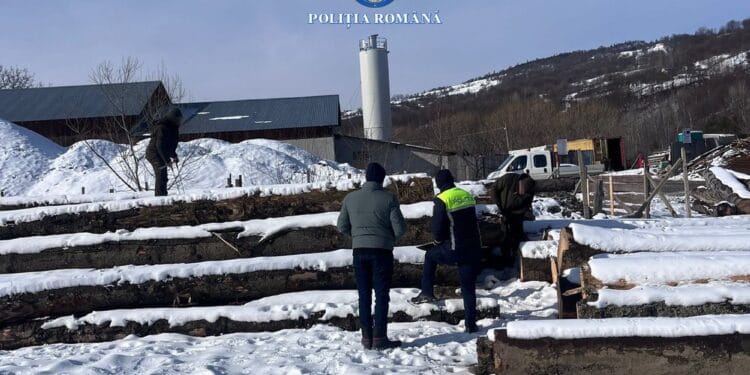 Descinderi și controale ample pe linia combaterii delictelor silvice! Șase percheziții și filtre rutiere pe traseele lemnului!