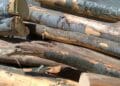 Lovitură dură împotriva tăierilor ilegale: peste 150 de metri cubi de lemn fără acte
