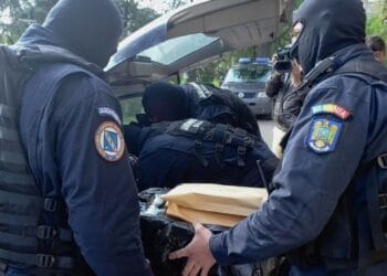 Rețea de trafic de droguri destructurată! Culturi indoor de canabis și zeci de plante, descoperite în urma perchezițiilor!