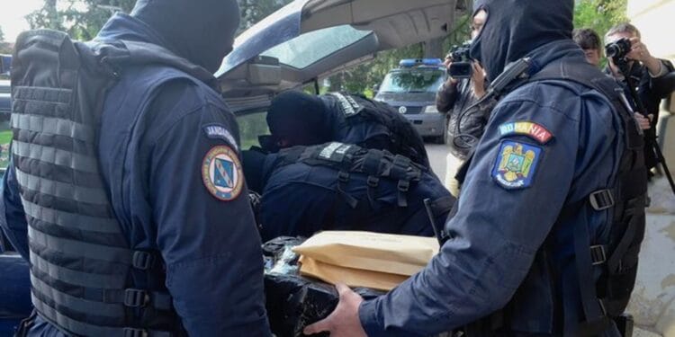 Rețea de trafic de droguri destructurată! Culturi indoor de canabis și zeci de plante, descoperite în urma perchezițiilor!