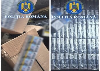 Contrabandă cu țigări! Percheziții în două comune, peste 33.000 de țigarete confiscate