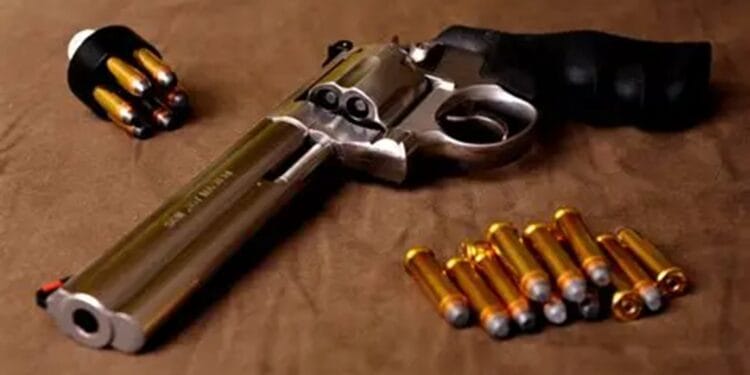 Percheziții la suspecți de deținere ilegală de arme! Un bărbat a fost reținut!