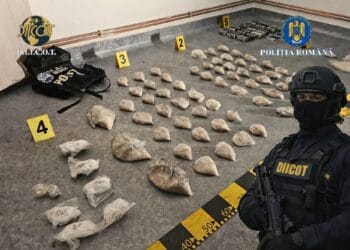 VIDEO. Captură uriașă de droguri! DIICOT a descoperit alte cantități importante îngropate de inculpați!