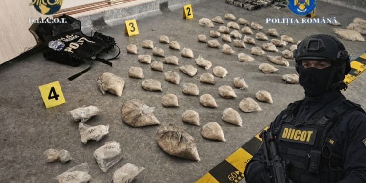 VIDEO. Captură uriașă de droguri! DIICOT a descoperit alte cantități importante îngropate de inculpați!