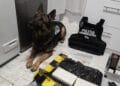 VIDEO. Lovitură devastatoare pentru traficanții de droguri! „Cristal” de peste 3 kg vândut în flagrant, cocaină îngropată și rețineri în lanț!