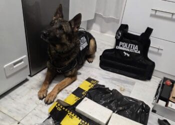 VIDEO. Lovitură devastatoare pentru traficanții de droguri! „Cristal” de peste 3 kg vândut în flagrant, cocaină îngropată și rețineri în lanț!