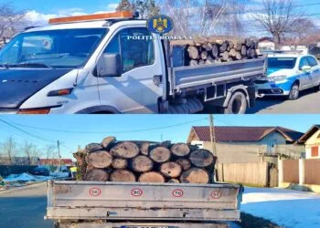 Transport ilegal de lemn depistat de polițiști! Peste 3,9 metri cubi confiscați de polițiști