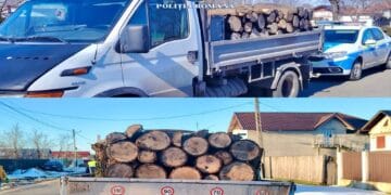 Transport ilegal de lemn depistat de polițiști! Peste 3,9 metri cubi confiscați de polițiști