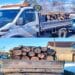 Transport ilegal de lemn depistat de polițiști! Peste 3,9 metri cubi confiscați de polițiști