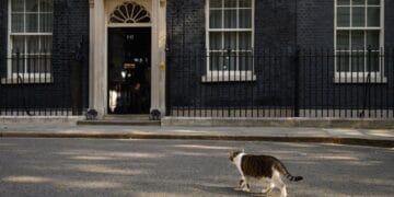 Motanul Larry, cel mai longeviv „funcționar” al guvernului! Vedetă globală și simbol național!