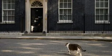 Motanul Larry, cel mai longeviv „funcționar” al guvernului! Vedetă globală și simbol național!