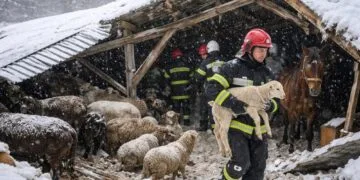 Saivan prăbușit sub greutatea zăpezii! Pompierii au salvat peste 220 de animale, după o intervenție extrem de dificilă!