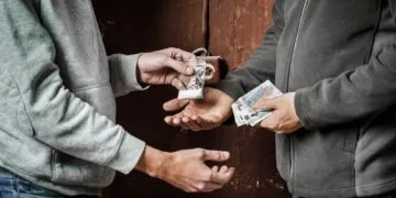 Percheziții antidrog! Doi tineri, reținuți într-un dosar de trafic de canabis