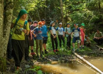 Copiii din jurul Munților Făgăraș pot ajunge în Parcul Național Pădurile Bavareze prin programul „Adoptă un colț de natură”