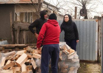 Simona Bucura-Oprescu: tichetele pentru munca în gospodărie devin realitate. Sistemul care scoate „munca la negru” la lumină