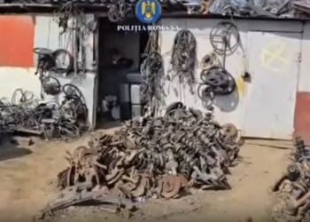 VIDEO. Percheziții la o firmă de reciclare: tone de deșeuri periculoase și zeci de mașini dezmembrate ilegal, descoperite de polițiști