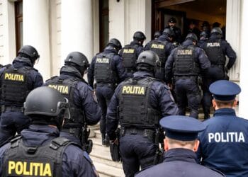 VIDEO. Rețea de angajări fictive, destructurată de polițiști: 29 de percheziții și un prejudiciu de 1,5 milioane de lei