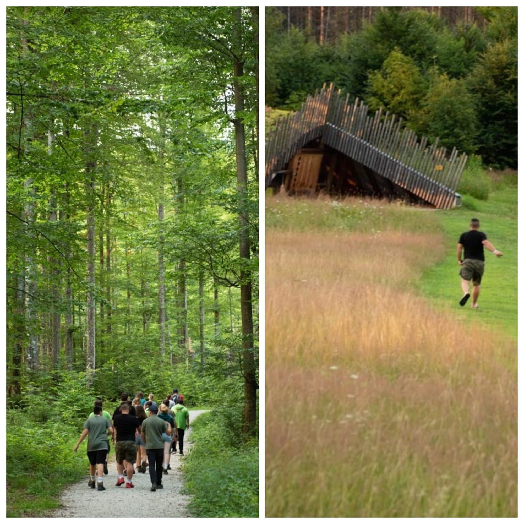 Copiii din jurul Munților Făgăraș pot ajunge în Parcul Național Pădurile Bavareze prin programul „Adoptă un colț de natură”