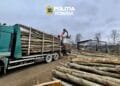 Transport ilegal de lemn, depistat de polițiști. Aproape 60 de metri cubi, confiscați în urma unui control
