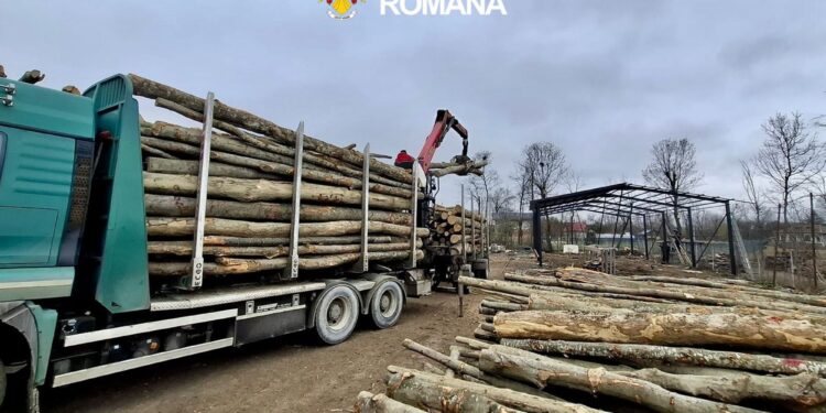 Transport ilegal de lemn, depistat de polițiști. Aproape 60 de metri cubi, confiscați în urma unui control