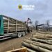 Transport ilegal de lemn, depistat de polițiști. Aproape 60 de metri cubi, confiscați în urma unui control