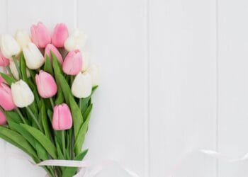 Buchete cu lalele deosebite: primăvara în culori vibrante