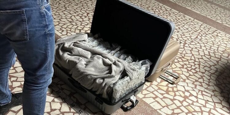 Captură importantă! Bărbat prins cu 31 de kilograme de canabis, arestat preventiv