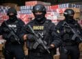 Rețea de contrabandă cu țigări destructurată: 32 de percheziții în trei județe. Liderul grupării este căutat de anchetatori
