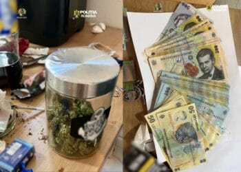 Dealer prins în flagrant! Droguri, bani și cântare de precizie, descoperite la percheziții