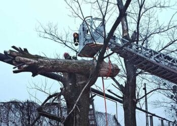 Intervenție contracronometru! Tânăr prins sub craca unui copac! Era căzută peste o țeavă de gaz!