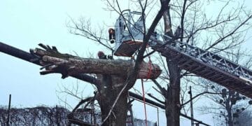 Intervenție contracronometru! Tânăr prins sub craca unui copac! Era căzută peste o țeavă de gaz!