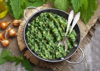 Urzicile, „aurul verde” al primăverii: beneficii pentru sănătate și moduri simple de preparare