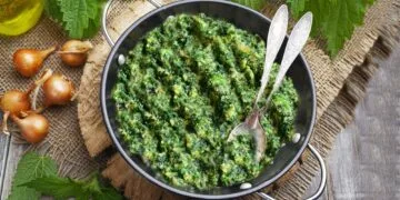 Urzicile, „aurul verde” al primăverii: beneficii pentru sănătate și moduri simple de preparare