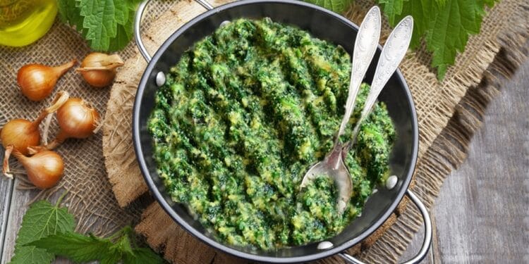 Urzicile, „aurul verde” al primăverii: beneficii pentru sănătate și moduri simple de preparare