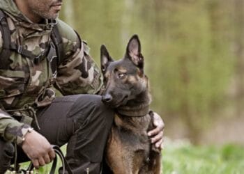 Militar de 30 de ani, mort după ce a încercat să salveze un câine căzut într-un bazin cu apă