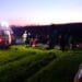 Tragedie! Un pilot și o tânără de 19 ani au murit după prăbușirea unei parapante!