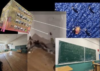 VIDEO. Invazie de ploșnițe într-un liceu! Elevii trec la cursuri online după ce DSP a găsit condiții inadmisibile