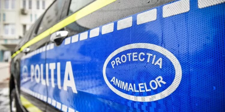 Caz revoltător! Câine omorât intenționat cu mașina. Tânăr de 26 de ani, reținut!