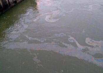 Poluare gravă! Abator amendat cu 80.000 de lei după deversări ilegale în râu!
