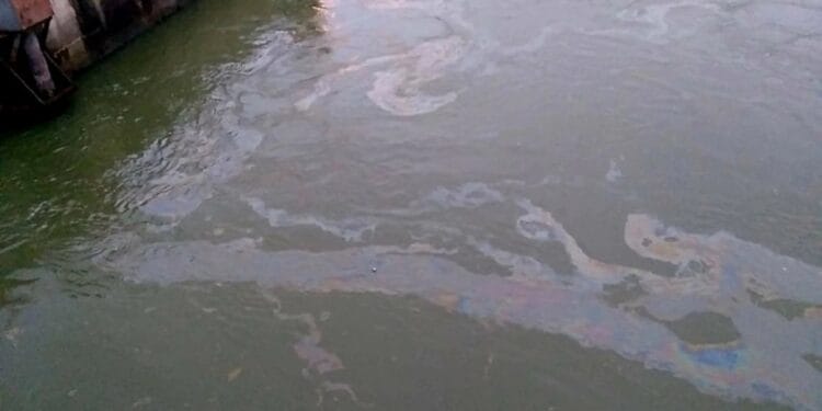 Poluare gravă! Abator amendat cu 80.000 de lei după deversări ilegale în râu!
