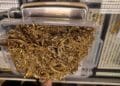 Lovitură dură ANAF! Aproape 70 de milioane lei confiscați din schimburi valutare ilegale și aur de milioane ridicat de la amanet