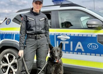 RAZIE DE AMPLOARE! Sute de amenzi, șoferi scoși din trafic și dosare penale!