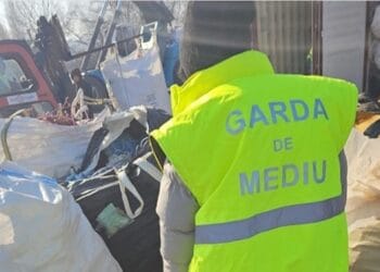 Descoperire șocantă! Resturi de animale în putrefacție și deșeuri din construcții, abandonate pe un teren!