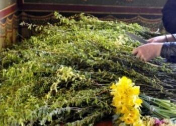 Floriile, sărbătoarea care vestește Paștele: tradiții, obiceiuri și semnificații păstrate de secole