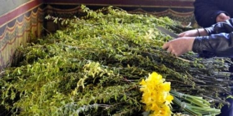 Floriile, sărbătoarea care vestește Paștele: tradiții, obiceiuri și semnificații păstrate de secole