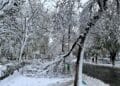 VIDEO. Iarnă în toată regula înainte de Paște: viscol, ninsori și -13°C la Vârful Omu