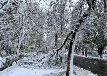 VIDEO. Iarnă în toată regula înainte de Paște: viscol, ninsori și -13°C la Vârful Omu